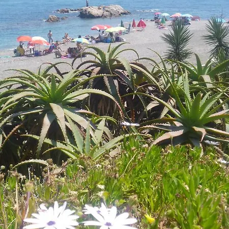 Apartment Hercesa 2163 Manilva